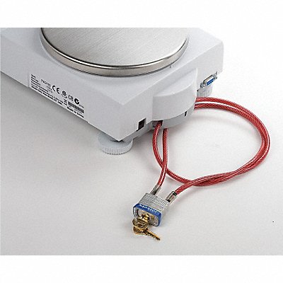 Scale Security Devices image